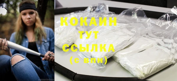 шишки Приозерск