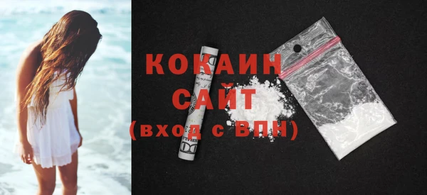 шишки Приозерск