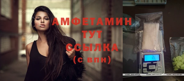 шишки Приозерск