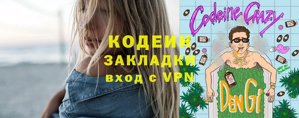 шишки Покачи