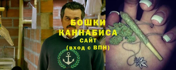 шишки Покачи