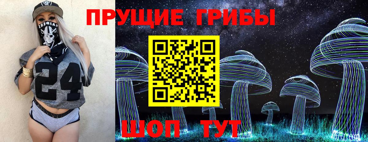 Псилоцибиновые грибы мицелий  Псилоцибиновые грибы ЛСД  Борзя  Вход с VPN 