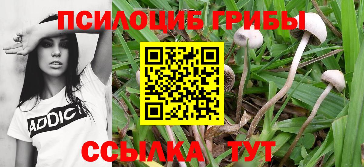 Псилоцибиновые грибы мухоморы Борзя