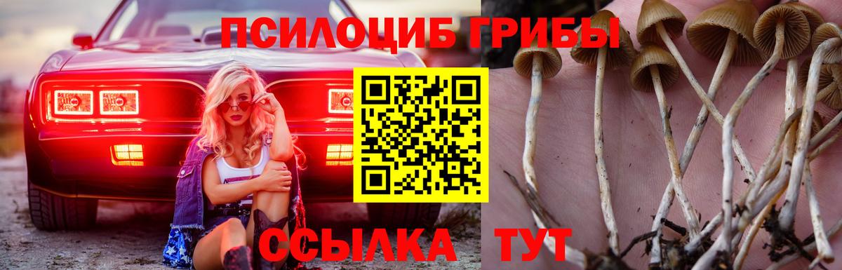 Псилоцибиновые грибы мухоморы  Борзя 